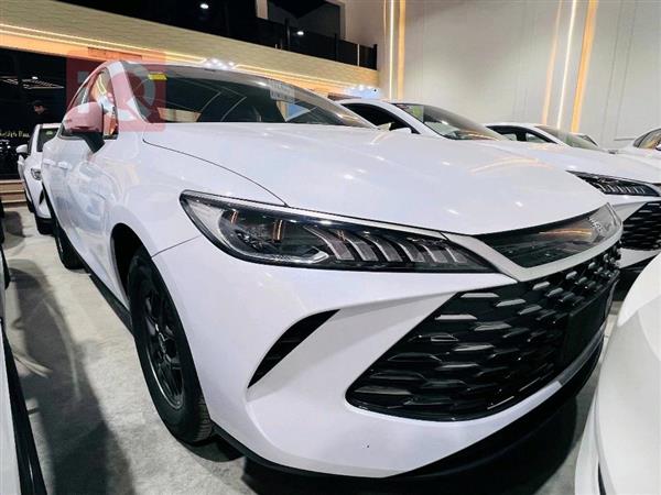 بي واي دي Qin Plus 2025 للبيع في العراق - النجف